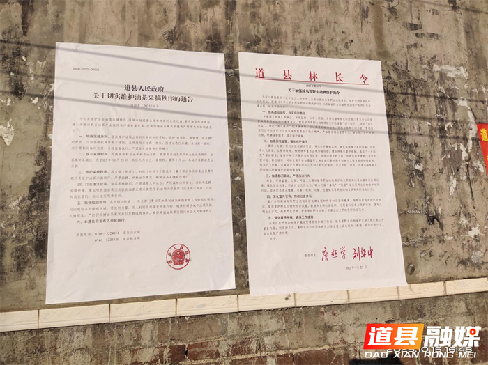 道县：织密候鸟迁徙“安全网” 守护千年鸟道生命航线2_副本.png