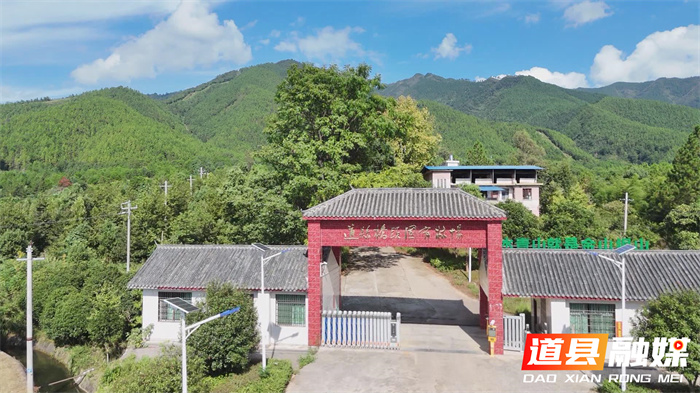 道县：以赛促训 桥头国有林场森防技能比武锤炼实战精兵2_副本1.jpg