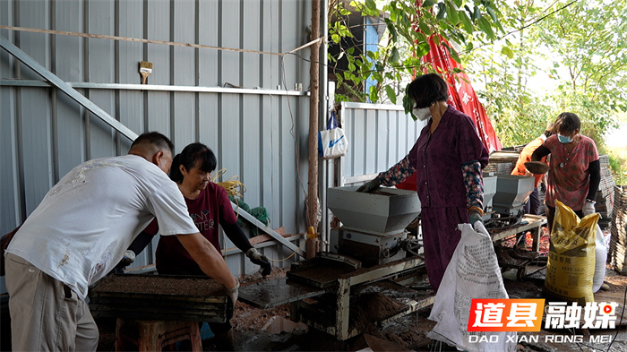 道县：油菜育苗正当时 机械化种植提质效2_副本1.jpg