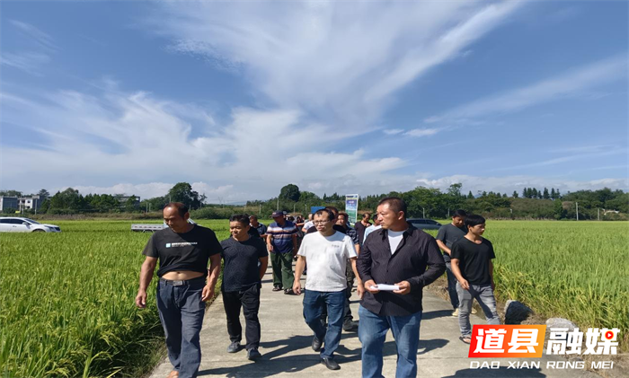 道县举办农民技术员暨农技人员培训观摩会4_副本.png