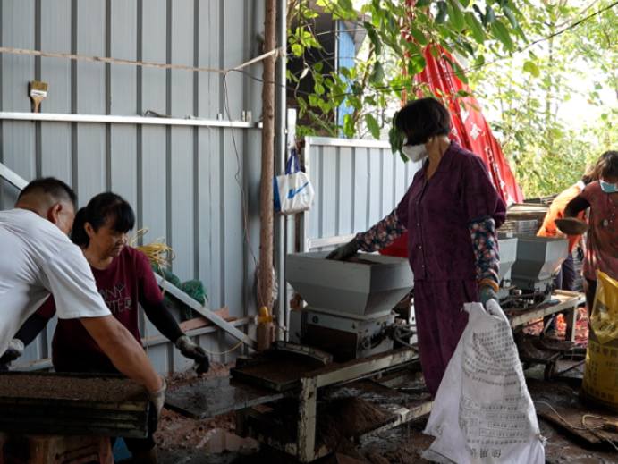 视频｜道县：油菜育苗正当时  机械化种植提质效