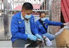 道县：打好秋季动物防疫“预防针” 筑牢畜禽安全“防护网”