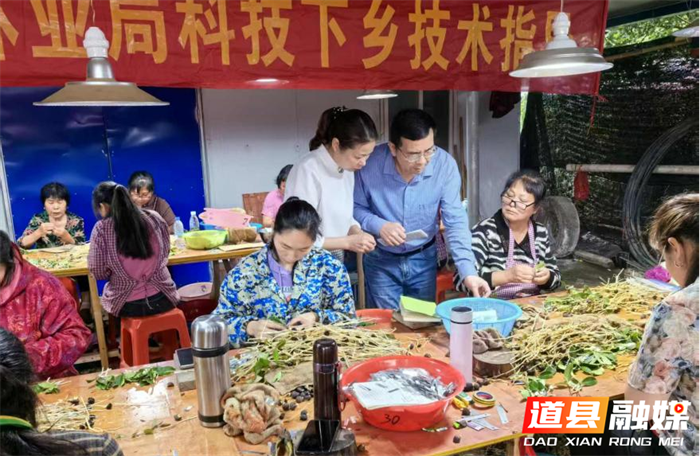 道县：科技服务夯实林业发展基础2_副本.png