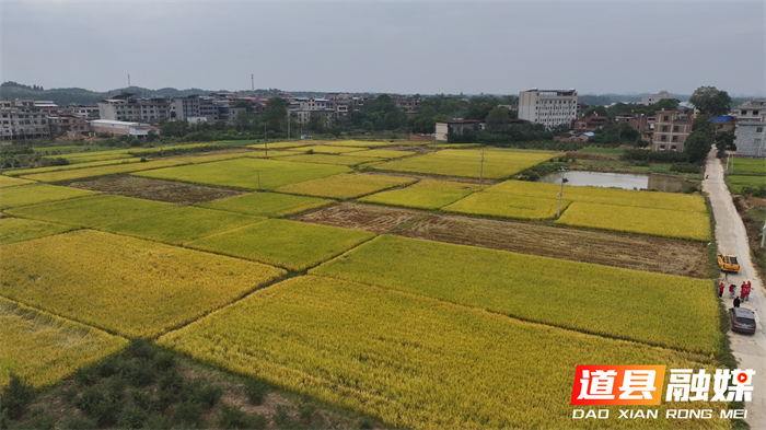 道县:决战秋收“收官战” 电力护航“最后一公里”4_副本.png 道县:决战秋收“收官战” 电力护航“最后一公里”4_副本.png