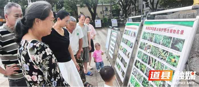 道县多举措提升基层林业法律服务质量 1_副本.png 道县多举措提升基层林业法律服务质量 1_副本.png