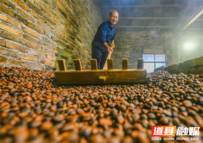 道县:古法舂榨 茶油飘香(组图)4_副本.png