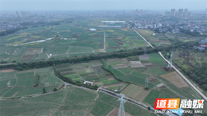 道县:千亩藠头迎丰收 新鲜上市助农增收1_副本.png 道县:千亩藠头迎丰收 新鲜上市助农增收1_副本.png