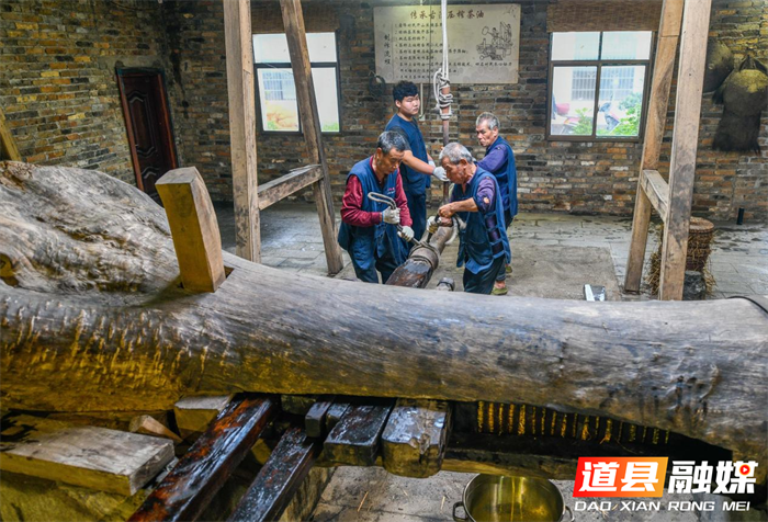 道县:古法舂榨 茶油飘香(组图)1_副本.png