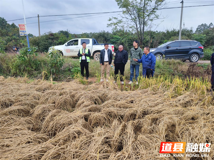 闻灾而动,人保当先——人保财险道县支公司联合多部门精准勘验水稻灾情_副本.png 闻灾而动,人保当先——人保财险道县支公司联合多部门精准勘验水稻灾情_副本.png