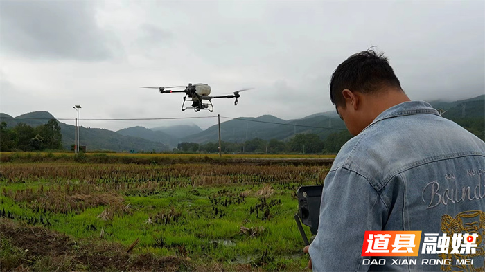 1113道县:绿肥播种正当时 孕育沃野新希望 (1)4_副本.jpg 1113道县:绿肥播种正当时 孕育沃野新希望 (1)4_副本.jpg