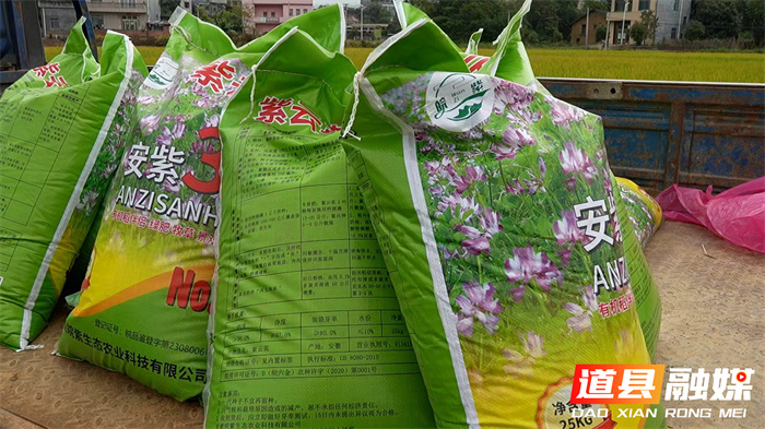 1113道县:绿肥播种正当时 孕育沃野新希望 (1)3_副本.jpg 1113道县:绿肥播种正当时 孕育沃野新希望 (1)3_副本.jpg