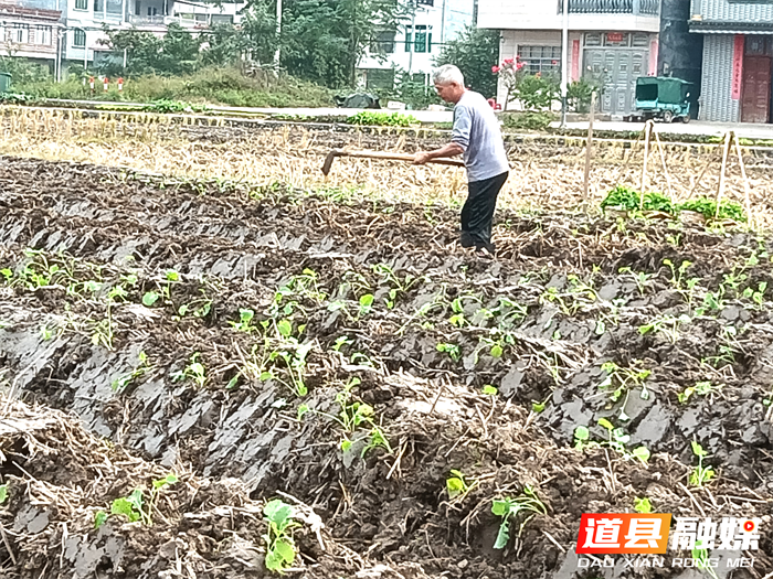 道县梅花镇:抢抓好天气忙着种油菜4_副本.png 道县梅花镇:抢抓好天气忙着种油菜4_副本.png