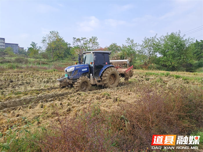 道县东门街道：精准指导油菜种植 助力农户增产增收3_副本.png