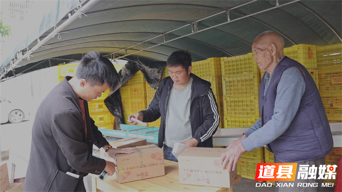 道县:90后返乡青年直播“橙”心助农3_副本.jpg 道县:90后返乡青年直播“橙”心助农3_副本.jpg