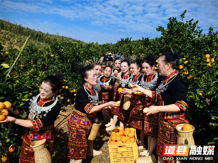 道县“体育+文化”助农出新招 民族歌舞点亮脐橙销售路2_副本.png 道县“体育+文化”助农出新招 民族歌舞点亮脐橙销售路2_副本.png