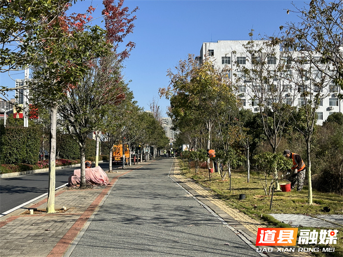 道县：冬季养护正当时 园林“梳妆”暖冬景1_副本.jpg