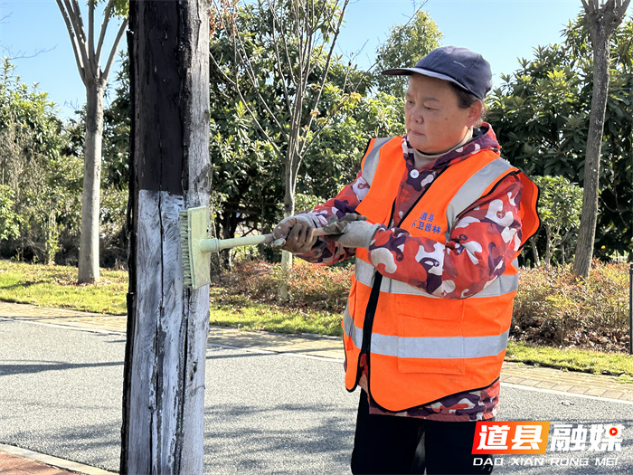 道县：冬季养护正当时 园林“梳妆”暖冬景2_副本.jpg