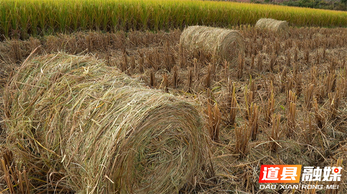道县:秸秆综合利用 田间“废料”变市场“肥料”5_副本.jpg 道县:秸秆综合利用 田间“废料”变市场“肥料”5_副本.jpg