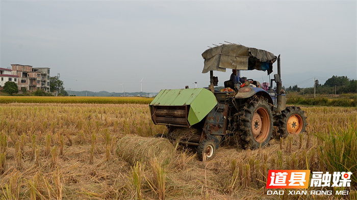 道县:秸秆综合利用 田间“废料”变市场“肥料”4_副本.jpg 道县:秸秆综合利用 田间“废料”变市场“肥料”4_副本.jpg