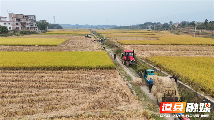 道县:秸秆综合利用 田间“废料”变市场“肥料”6_副本.jpg 道县:秸秆综合利用 田间“废料”变市场“肥料”6_副本.jpg