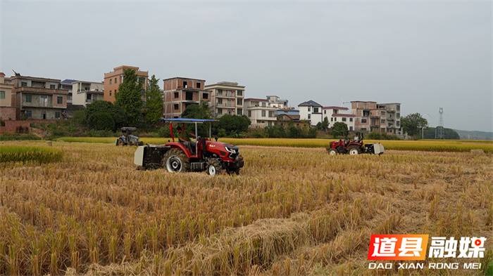 道县:秸秆综合利用 田间“废料”变市场“肥料”3_副本.jpg 道县:秸秆综合利用 田间“废料”变市场“肥料”3_副本.jpg