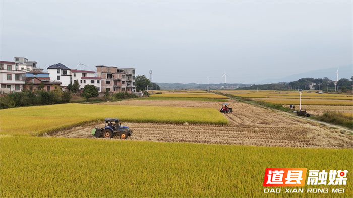 道县:秸秆综合利用 田间“废料”变市场“肥料”2_副本.jpg 道县:秸秆综合利用 田间“废料”变市场“肥料”2_副本.jpg