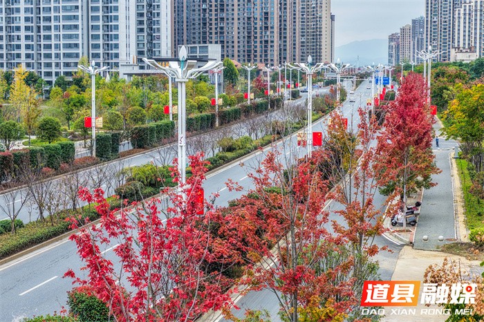 1107(组图新闻)道县:车在画中行 (1)7_副本.jpg