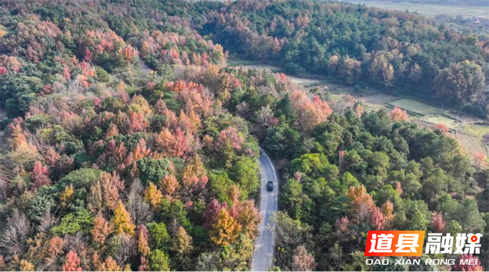 道县坚持保护发展并重 推动生态持续向好3_副本.png 道县坚持保护发展并重 推动生态持续向好3_副本.png