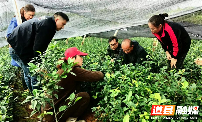 道县坚持保护发展并重 推动生态持续向好1_副本.png 道县坚持保护发展并重 推动生态持续向好1_副本.png