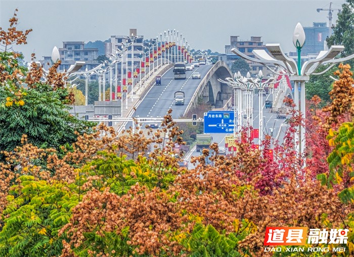 1107(组图新闻)道县:车在画中行 (1)10_副本.jpg