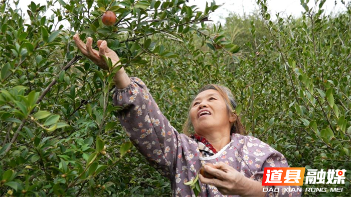 道县坚持保护发展并重 推动生态持续向好2_副本.png 道县坚持保护发展并重 推动生态持续向好2_副本.png