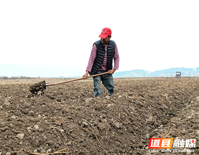 道县梅花镇:开足马力起垄2026年烤烟地3_副本.png 道县梅花镇:开足马力起垄2026年烤烟地3_副本.png