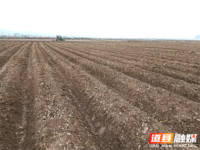 道县梅花镇:开足马力起垄2026年烤烟地1_副本.png 道县梅花镇:开足马力起垄2026年烤烟地1_副本.png
