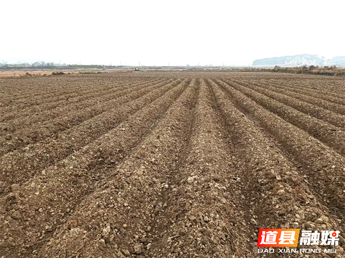 道县梅花镇:开足马力起垄2026年烤烟地4_副本.png 道县梅花镇:开足马力起垄2026年烤烟地4_副本.png