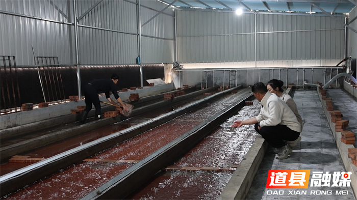 道县:鳗鱼“游”出致富路6_副本.png 道县:鳗鱼“游”出致富路6_副本.png