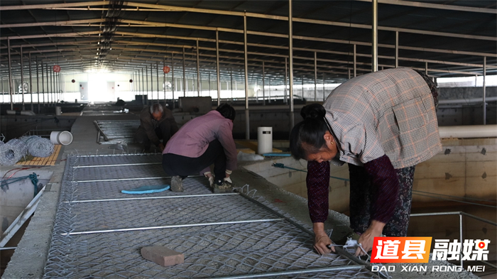 道县:鳗鱼“游”出致富路4_副本.png 道县:鳗鱼“游”出致富路4_副本.png