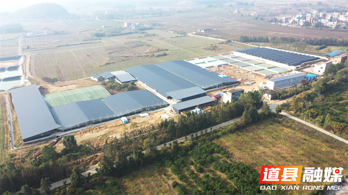 道县:鳗鱼“游”出致富路1_副本.png 道县:鳗鱼“游”出致富路1_副本.png