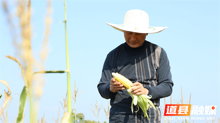 1219道县:退役军人用环保酵素“浇”出生态农业致富新路 (4)4_副本.jpg 1219道县:退役军人用环保酵素“浇”出生态农业致富新路 (4)4_副本.jpg