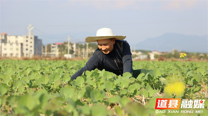 1219道县:退役军人用环保酵素“浇”出生态农业致富新路 (4)1_副本.jpg 1219道县:退役军人用环保酵素“浇”出生态农业致富新路 (4)1_副本.jpg