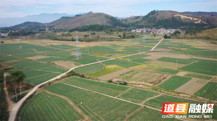 道县:小藠头撑起致富“大产业” 千亩基地“撬动”1800万产值3_副本.png 道县:小藠头撑起致富“大产业” 千亩基地“撬动”1800万产值3_副本.png