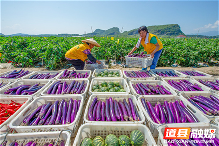 风帆劲鼓势正扬 古邑新城谱华章5_副本.jpg