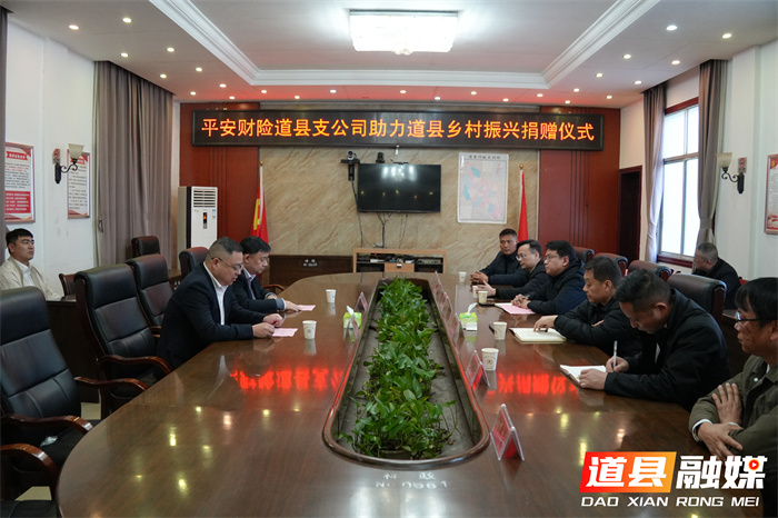 平安财险50万元捐赠落地道县 精准支持乡村产业与文旅发展2_副本.jpg 平安财险50万元捐赠落地道县 精准支持乡村产业与文旅发展2_副本.jpg
