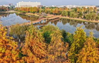 道县：口袋公园  冬景如画