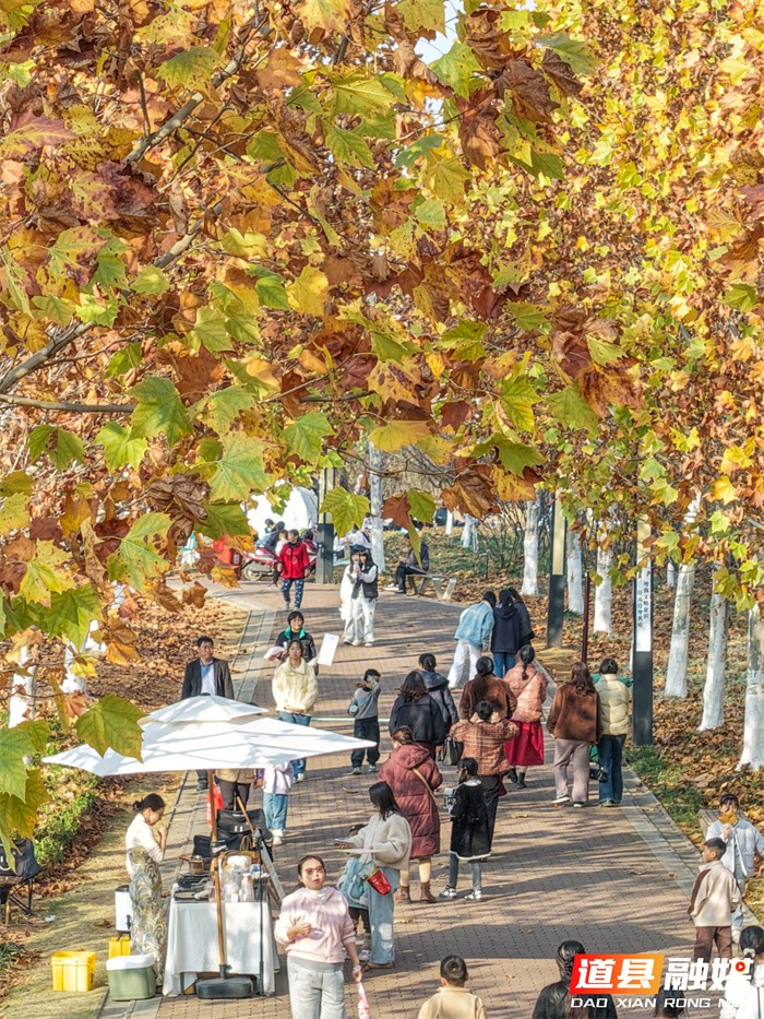 道县:口袋公园 冬景如画(组图)5_副本.jpg