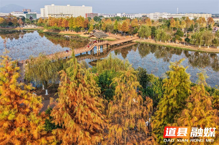 道县:口袋公园 冬景如画(组图)9_副本.jpg