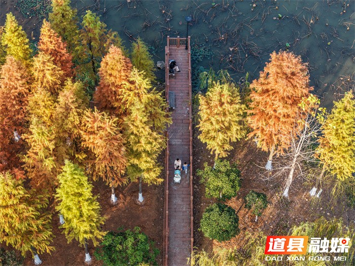 道县:口袋公园 冬景如画(组图)8_副本.jpg