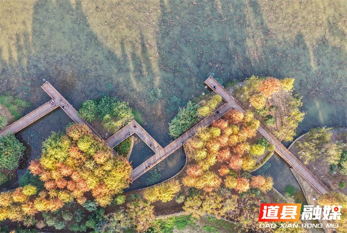 道县:口袋公园 冬景如画(组图)1_副本.jpg