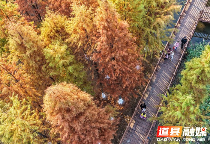 道县:口袋公园 冬景如画(组图)3_副本.jpg