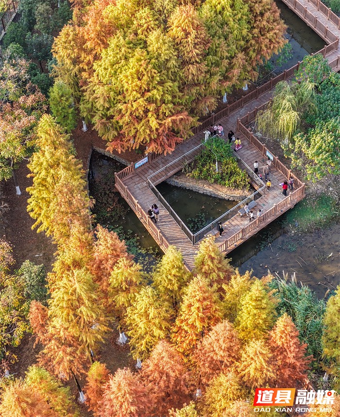 道县:口袋公园 冬景如画(组图)2_副本.jpg