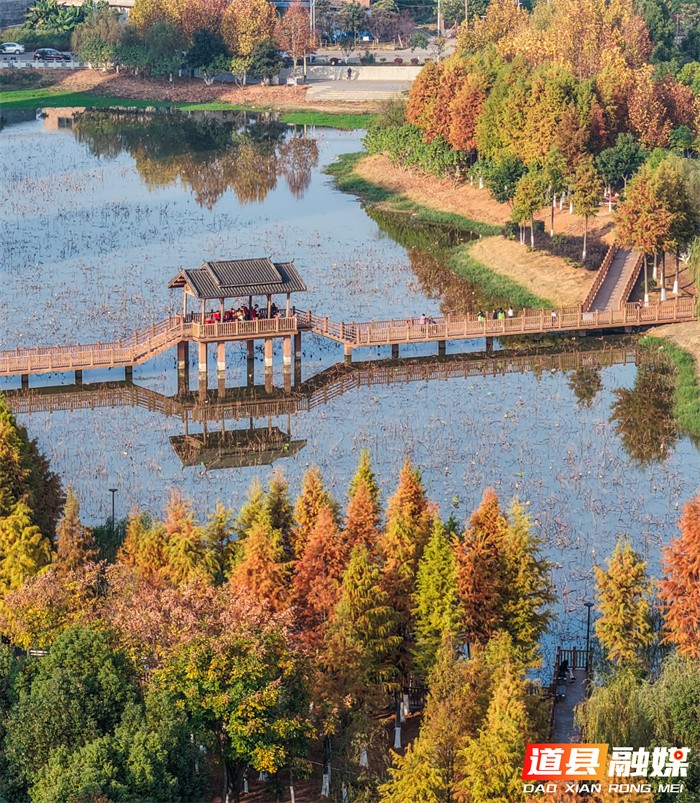 道县:口袋公园 冬景如画(组图)7_副本.jpg